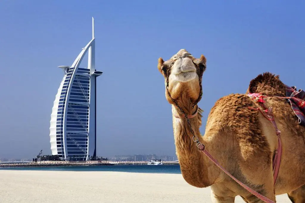 7 بهترین هتل ساحلی دبی